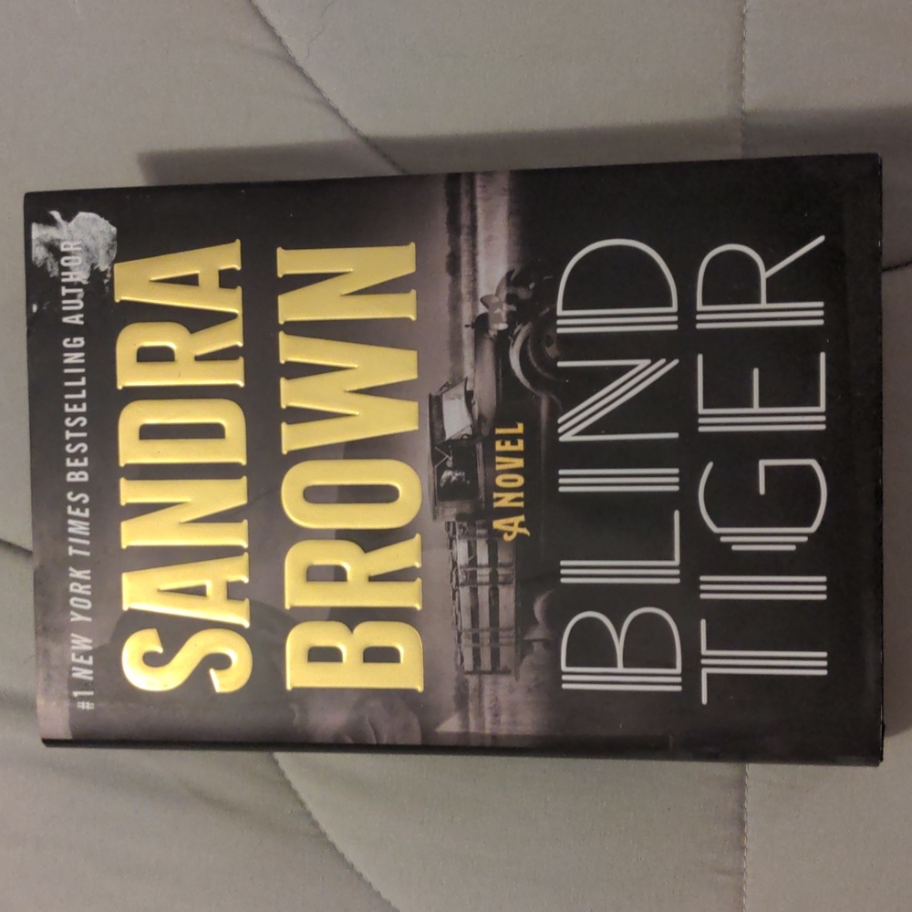 Blind Tiger by Sandra Brown in Hardcover